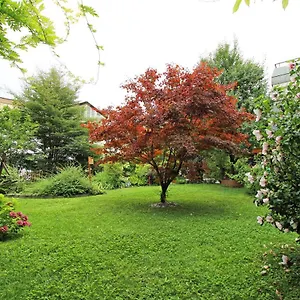 apt-nigler-6020.innsbruckaustriahotels.com/